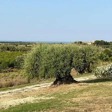 Bimmisca Hébergement de vacances Noto