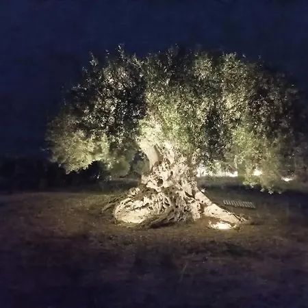 Bimmisca 펜션 노토